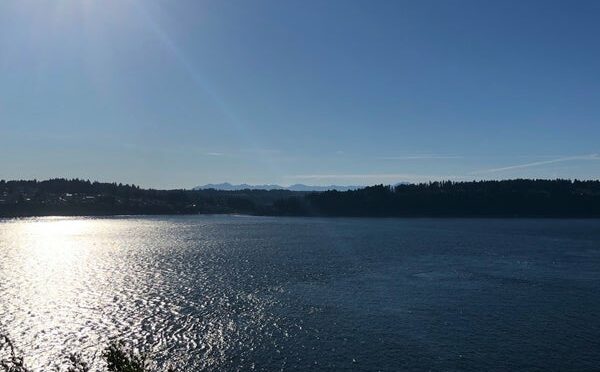 Opening Picnic at Point Defiance Park